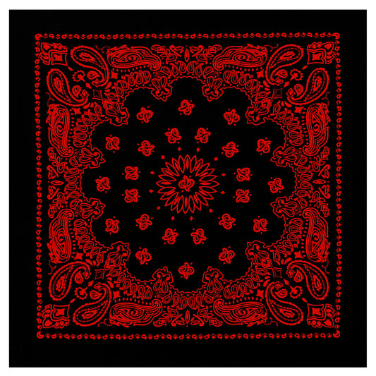 Rothco Trainmen Paisley Bandana - 22" X 22"