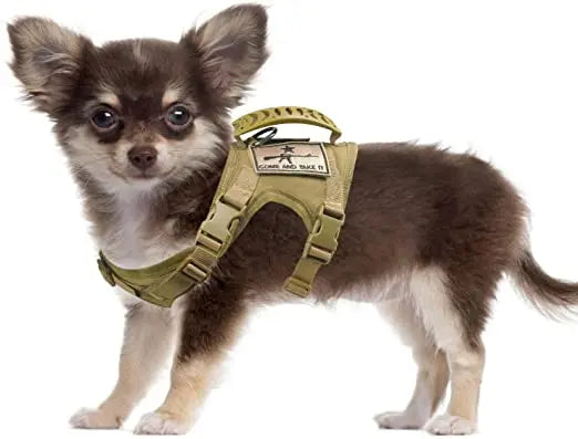 Chihuahua Cloth Small Dog Tactical Vest Training Harness xs Outdoor Working  Adjustable Military MOLLE with Rubber Handle