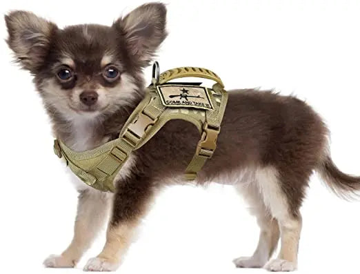 Chihuahua Cloth Small Dog Tactical Vest Training Harness xs Outdoor Working  Adjustable Military MOLLE with Rubber Handle